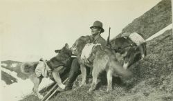 A lightkeeper with his trusty pack dogs on the way to a station during triangulation operations in central Alaska. Image