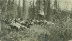 Packing into the interior Image