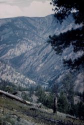 A look into the canyon of the Salmon River from above. Image