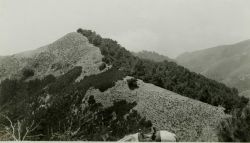 A view of Station Waters. Image
