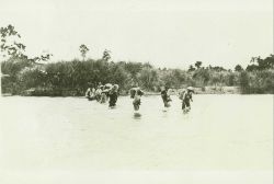 Packing across a river in South Mindanao, Philippine Islands, enroute to a triangulation station. Image