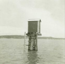 The tide gage at Anchorage at high tide Image