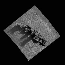 Side Scan sonar image of ship wreck. Image