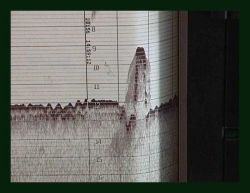 Single beam echo sounding analog record of ship wreck. Image