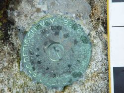 A Coast and Geodetic Survey benchmark used to determine elevations. Image