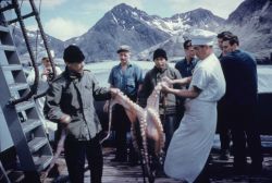 A large octopus getting ready for the cookpot on the PATHFINDER. Image