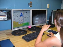 Monitoring survey data on array of computer screens. Image