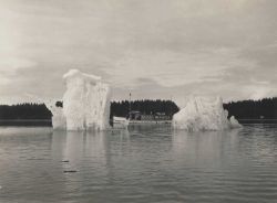 The Coast and Geodetic Survey Ship WESTDAHL silhouetted between icebergs in Bartlett Cove. Image