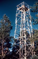 A 50-foot pole tower at Station Yeso Image