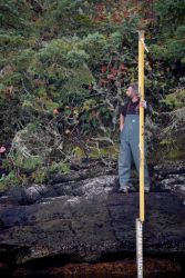 Leveling the tide staff during tide gage leveling operations. Image