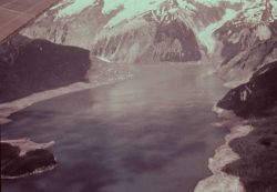 Lituya Bay showing the giant wave path that swept trees off mountainsides up to an elevation of 1720 feet in the left center of the photo Image