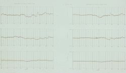 Magnetogram plots. Image