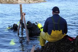 Dive operations for tide gauge installation. Image