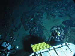 Dive at Wreckfish Cave. Image