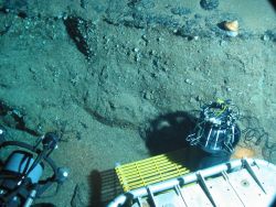 Dive at Wreckfish Cave. Image