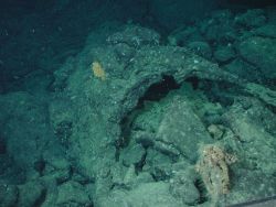 Lava tube? Pillow lava? Image