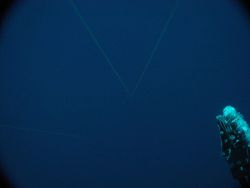 Lasers and sampling arm of ROV Image