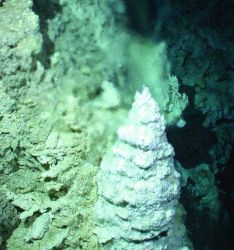 Lost City Expedition 2005 Image