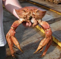 Lost City Expedition 2005 Image