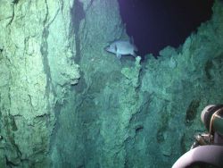 Lost City Expedition 2005 Image