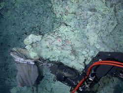 Ring of Fire 2006 Expedition Image