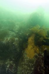 An iron plate from the HASSLER's bow embedded in the rock pinnacle that sank the ship in 1898. Image