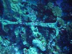 A lost anchor - just fouled? or possibly a shipwreck? Image