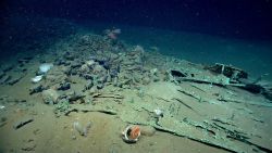 Artifact from Monterrey C shipwreck Image