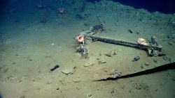 Artifacts from Monterrey A shipwreck Image