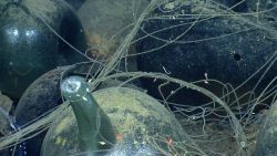 Artifacts from Monterrey B shipwreck Image