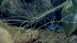 Artifacts from Monterrey B shipwreck Image