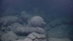 Pillow lavas and murky water Image