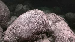 Large pillow lavas on the Galapagos Rift Image