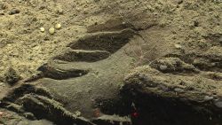 En echelon fracturing along canyon wall showing a relatively new rock surface Image