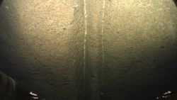 An eroded sediment chute in the canyon wall Image