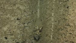 A sediment chute with a rock wedged in it Image
