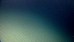 Parallel ripples looking produce a washboard pattern. Image