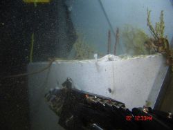 Placing sampled corals in the sampling bin of the ROV for return to surface for further study. Image