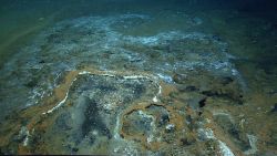 Discolored natural gas and tar seep area. Image