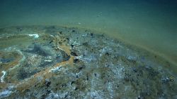 Discolored natural gas and tar seep area. Image