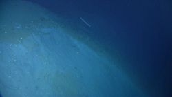 Life In The Deep Ocean Image