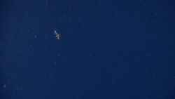 Life In The Deep Ocean Image