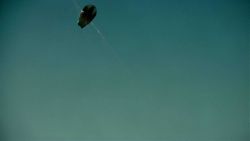 Life In The Deep Ocean Image