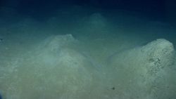 Dipping strata can be seen on the right hand mound in this area of relatively lifeless white mounds. Image
