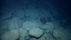 Pillow lavas. Image