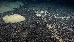 Odd gradation of black pebbles with white sand sediment appearing only to the right of a strongly demarcated line. Image