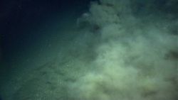 Perhaps a small sediment flow but probably caused by the thrusters on the ROV. Image