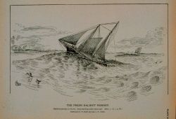 Halibut schooner in winter, head-reaching under short sail Drawing by H Photo