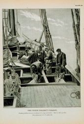 Dressing halibut on deck of schooner for icing in the hold From photograph by T Image