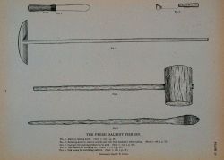 Fig Image